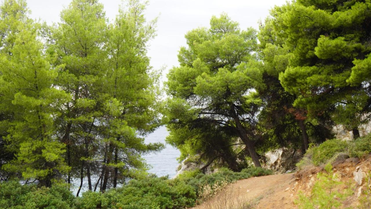 Loutra Villa 3P With Sea View Holiday home *
